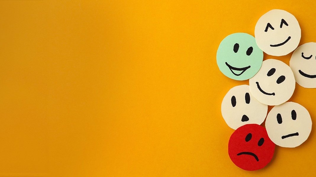 Empathetic Communication and Emotional Management ECEMSKv2H
